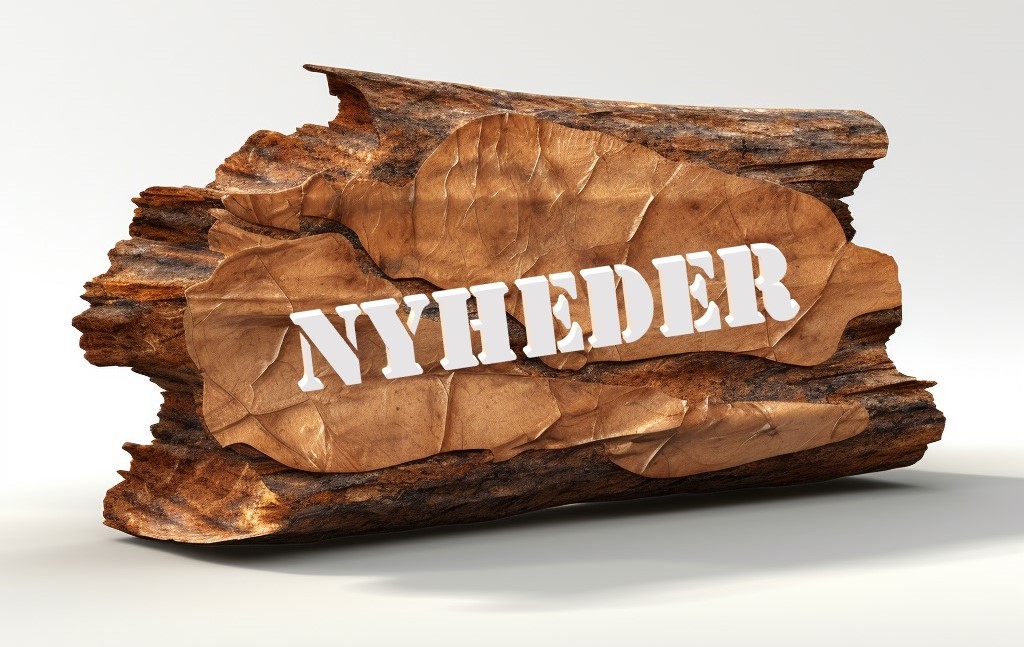 Nyheder