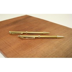 10 stk. Fancy pen + 10 Fancy PCL