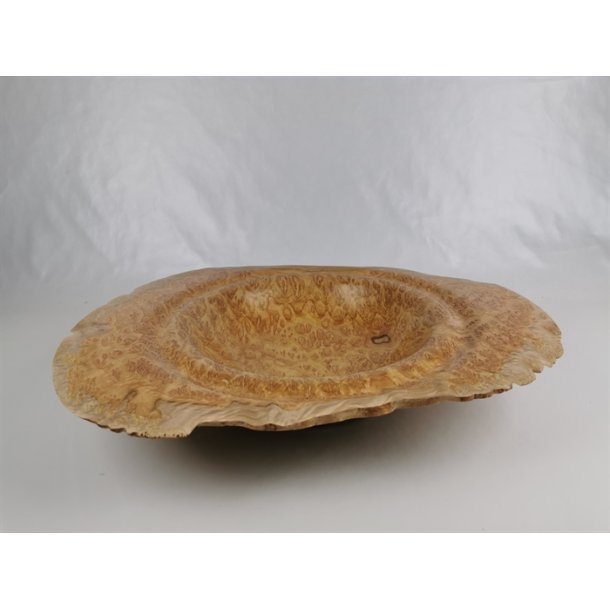 Fad i Eukalyptusknude