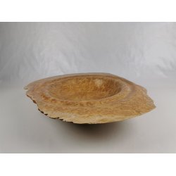 Fad i Eukalyptusknude