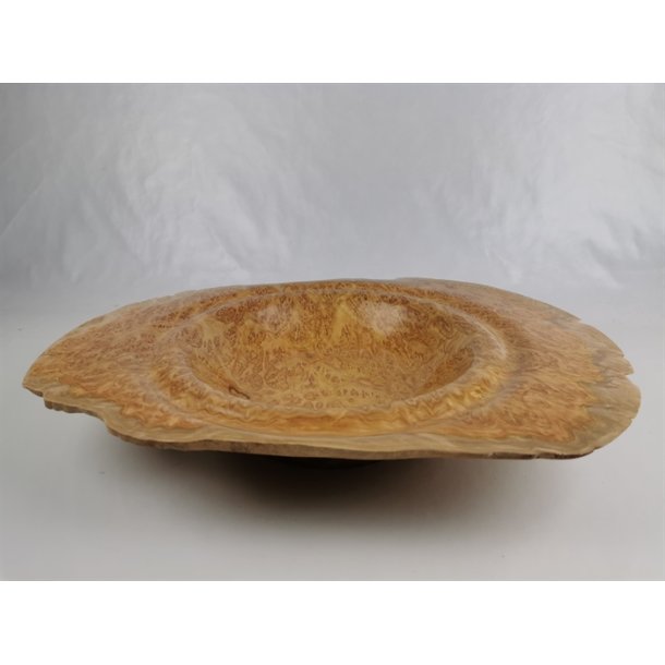 Fad i Eukalyptusknude