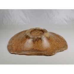 Fad i Eukalyptusknude