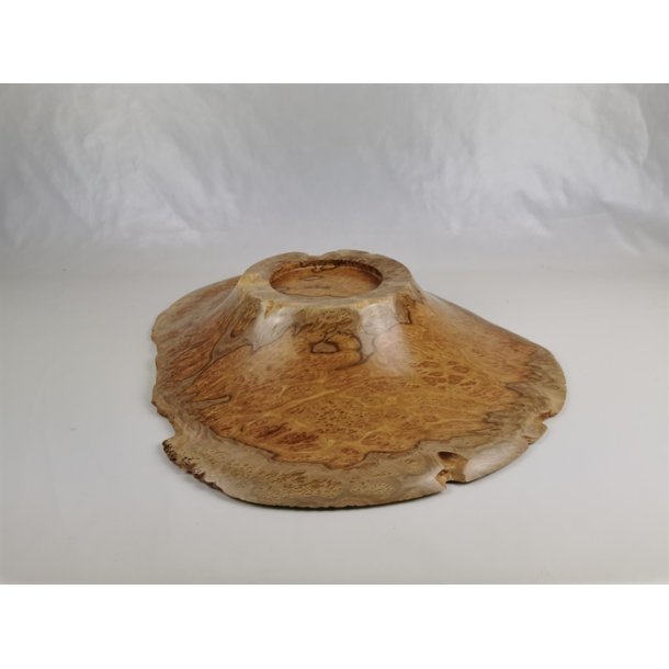 Fad i Eukalyptusknude