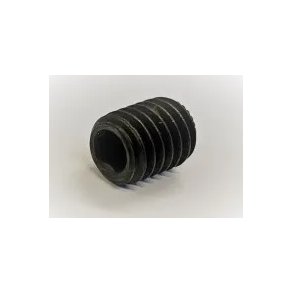 1 stk. skrue til Oneway Termite ringjern