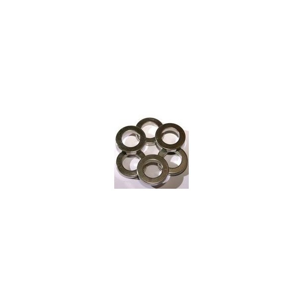 Magnetring